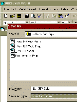 wpe23.gif (3940 bytes)